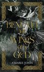 A'Maree Jones: Beneath the Wings of a God, Buch