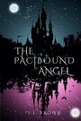 S J Brown: The Pactbound Angel, Buch