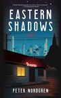 „Eastern Shadows: A Novel“ von Peter Nordgren. Nacht, Palmen, leuchtende Stadt im Hintergrund, kleines Haus mit beleuchtetem Fenster.