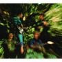 Creedence Clearwater Revival: Bayou Country (180g), LP