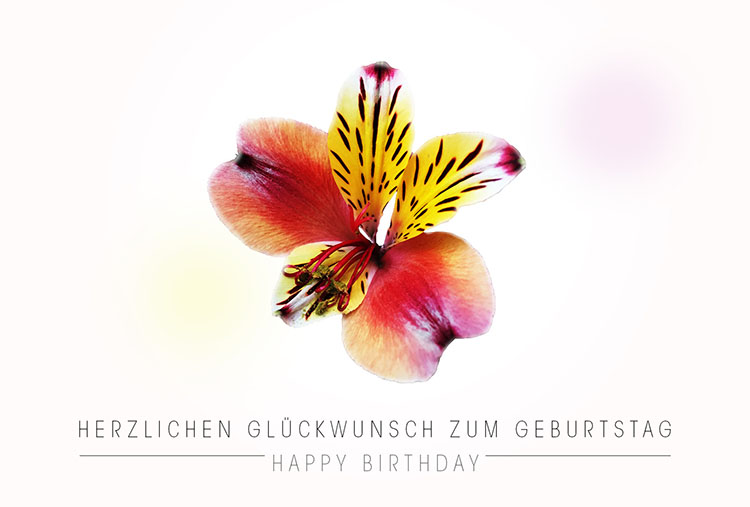 Gutscheinmotiv Geburtstag, Schmetterling, Text: Herzlichen Glückwunsch zum Geburtstag